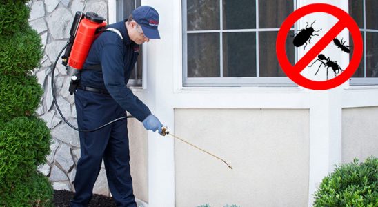 Taraklı Böcek İlaçlama böcek ilaçlama ve haşere kontrolü — ilaclama-tr.com